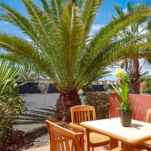 https://blu-gardenia.in-canary-islands.com